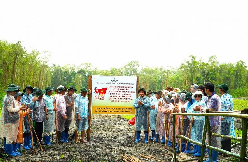 PV Drilling tài trợ 100.000 cây xanh cho dự án phục hồi rừng tràm