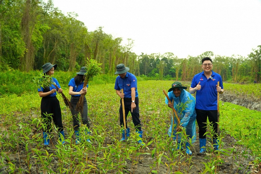 PV Drilling tài trợ 100.000 cây xanh cho dự án phục hồi rừng tràm