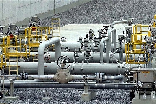 undefined Ảnh: Internet