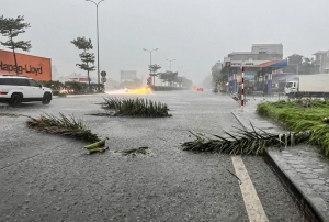 Bão Wipha tiếp tục tăng cấp, hướng vào vùng biển Quảng Ninh - Ninh Bình