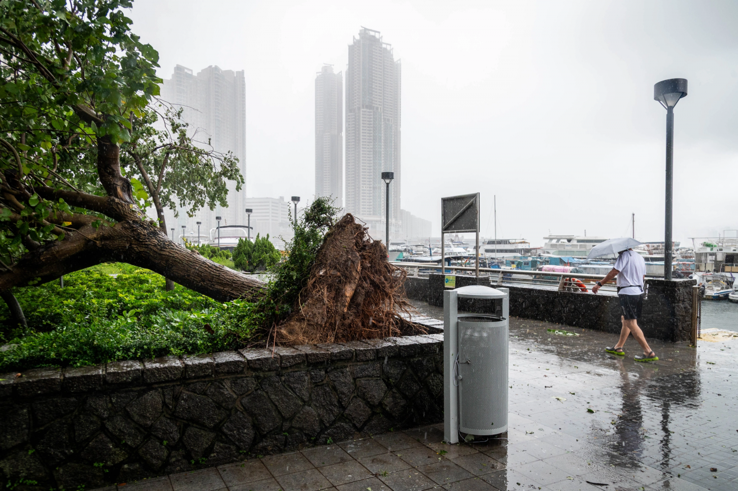 Bão Wipha càn quét các khu vực phía nam của Trung Quốc Bão Wipha càn quét các khu vực phía nam của Trung Quốc