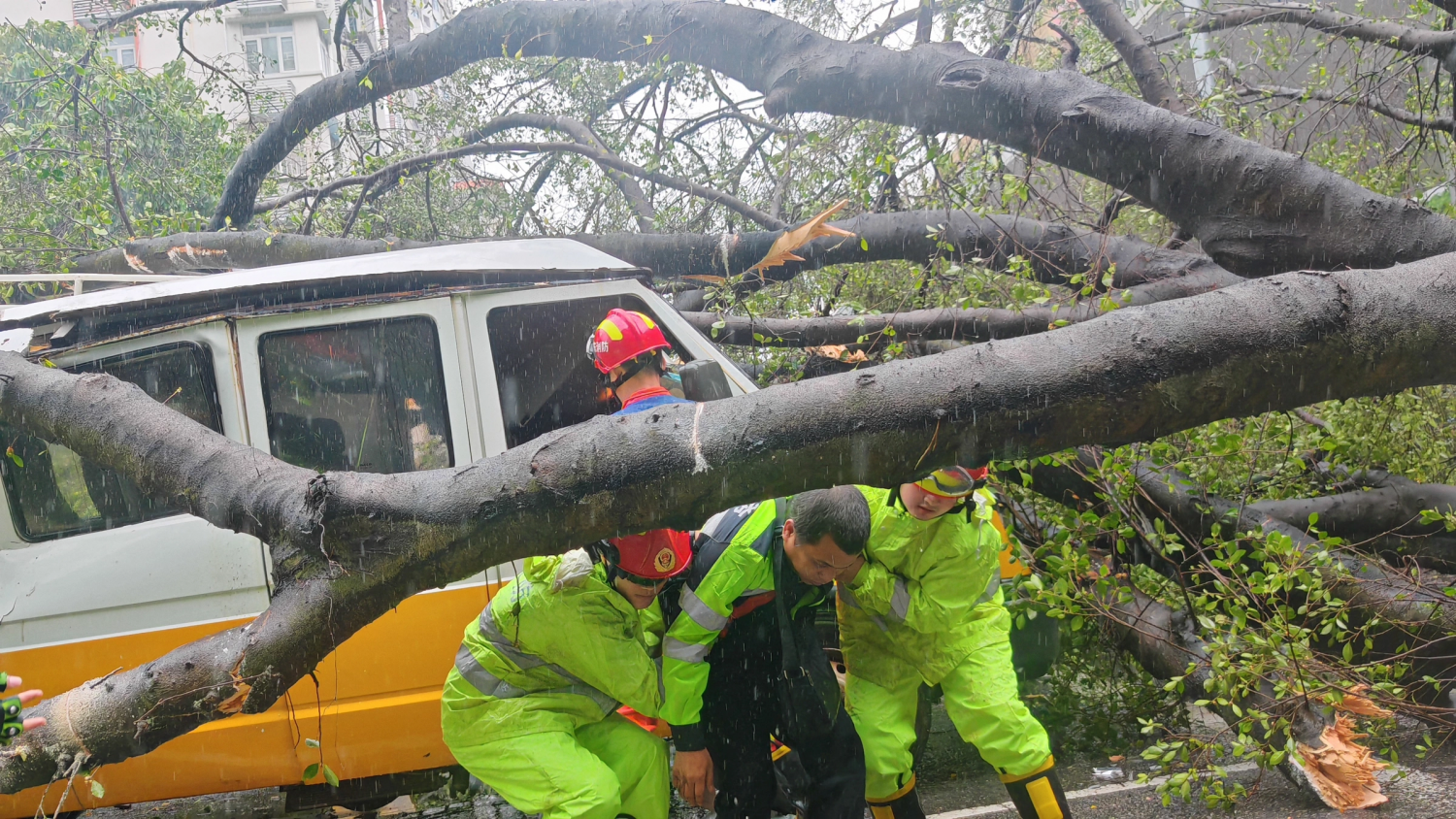Bão Wipha càn quét các khu vực phía nam của Trung Quốc Bão Wipha càn quét các khu vực phía nam của Trung Quốc