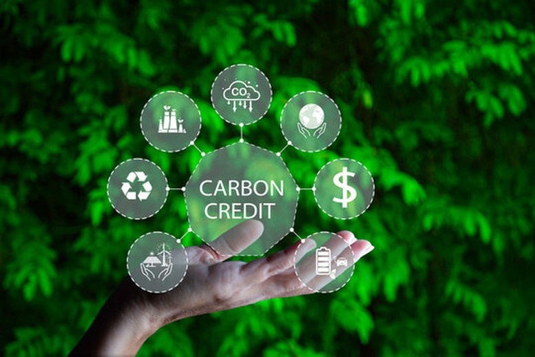 Bài 10: Thị trường carbon - Đòn bẩy cho chuyển đổi xanh