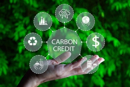 Bài 10: Thị trường carbon - Đòn bẩy cho chuyển đổi xanh
