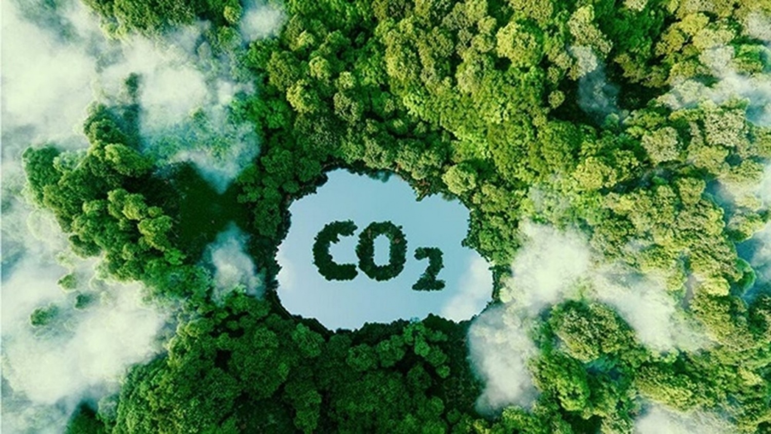 Bài 10: Thị trường carbon - Đòn bẩy cho chuyển đổi xanh
