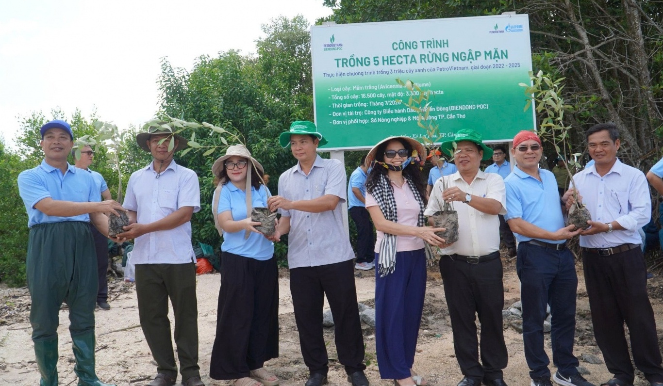 BIENDONG POC trồng 5 hecta rừng ngập mặn tại Cần Thơ