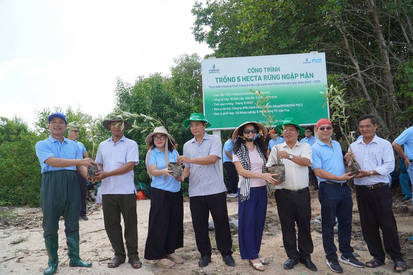 BIENDONG POC trồng 5 hecta rừng ngập mặn tại Cần Thơ