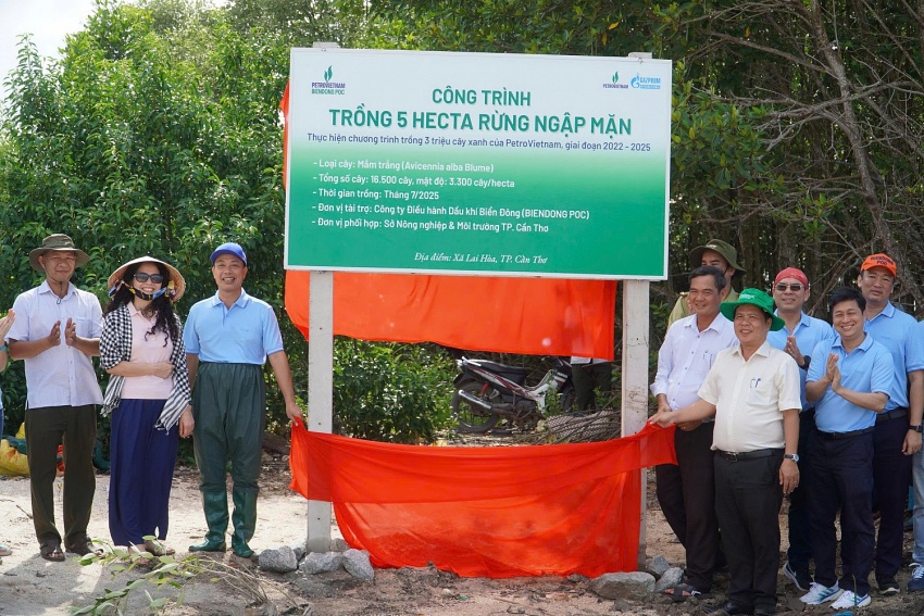BIENDONG POC trồng 5 hecta rừng ngập mặn tại Cần Thơ