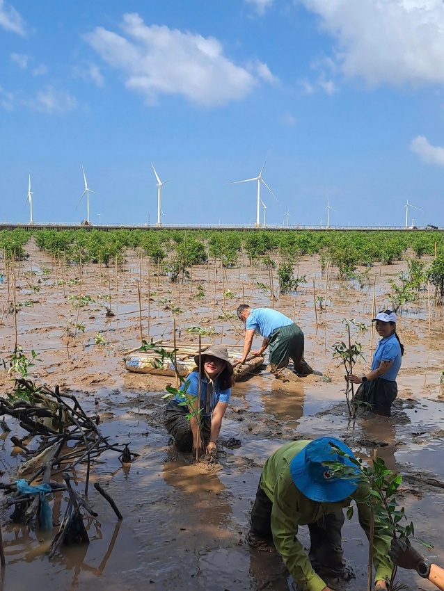 BIENDONG POC trồng 5 hecta rừng ngập mặn tại Cần Thơ