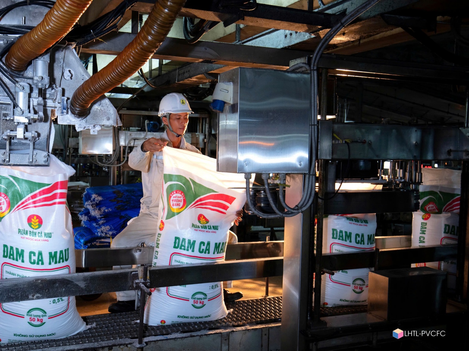 Phong trào thi đua yêu nước tại PVCFC: Nền tảng cho đổi mới sáng tạo và chuyển đổi số Phong trào thi đua yêu nước tại PVCFC: Nền tảng cho đổi mới sáng tạo và chuyển đổi số