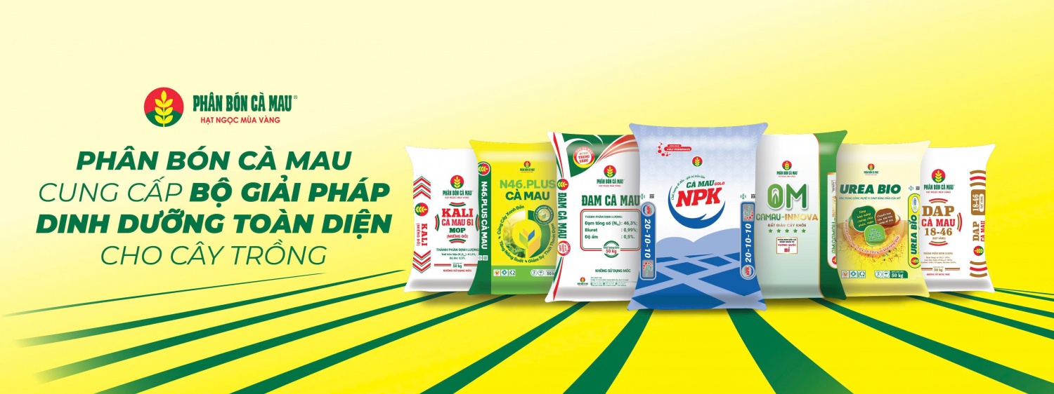 PVCFC: Tăng trưởng vượt kế hoạch, cổ phiếu DCM hưởng lợi từ thương vụ M&A KVF PVCFC: Tăng trưởng vượt kế hoạch, cổ phiếu DCM hưởng lợi từ thương vụ M&A KVF