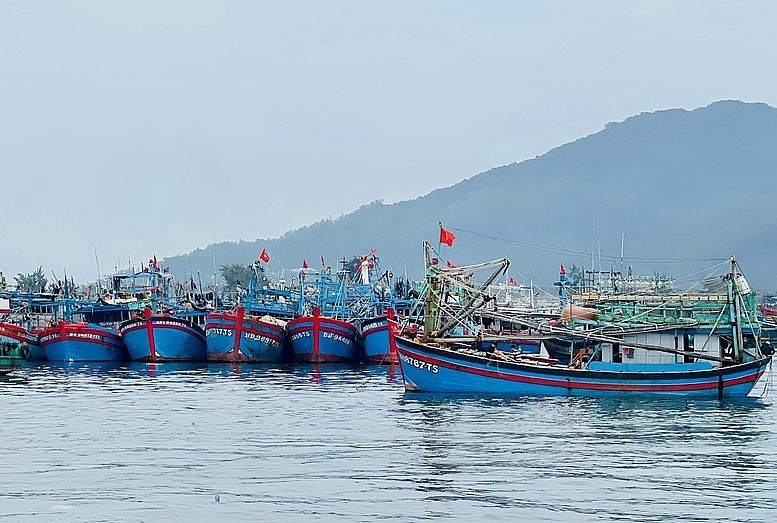 Xử lý nghiêm 