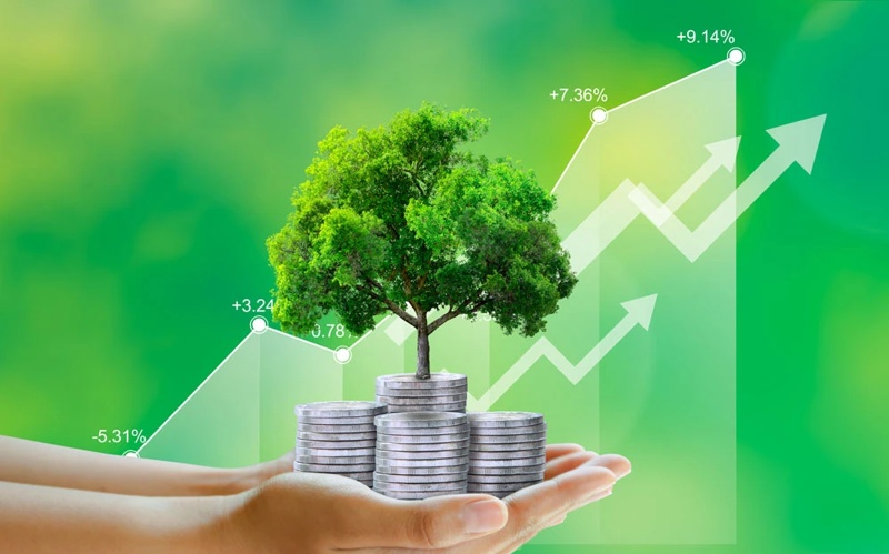 Điểm tin ngân hàng ngày 11/8: Ngân hàng tăng cường cho vay tín dụng xanh