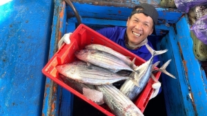 Đà Nẵng đặt quyết tâm cao nhất chấm dứt tình trạng vi phạm IUU