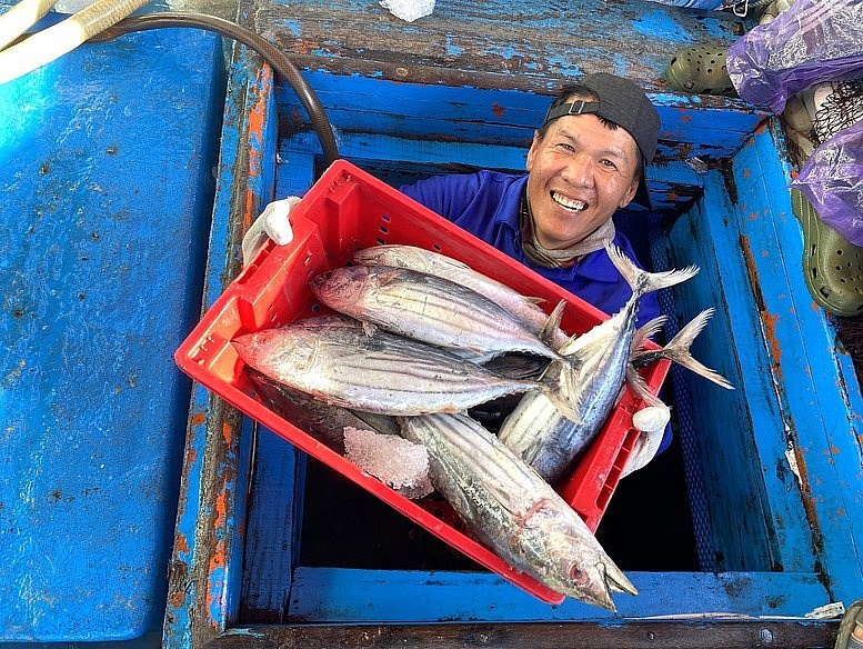 Đà Nẵng đặt quyết tâm cao nhất chấm dứt tình trạng vi phạm IUU Đà Nẵng đặt quyết tâm cao nhất chấm dứt tình trạng vi phạm IUU