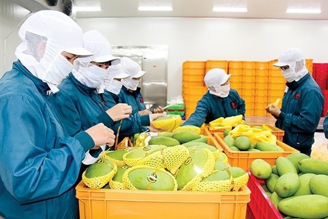 Vận hành bộ máy chính quyền hai cấp: Doanh nghiệp mong rút ngắn thời gian làm thủ tục