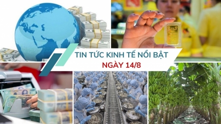 Tin tức kinh tế ngày 14/8: Xuất khẩu thủy sản dự báo tiếp tục tăng