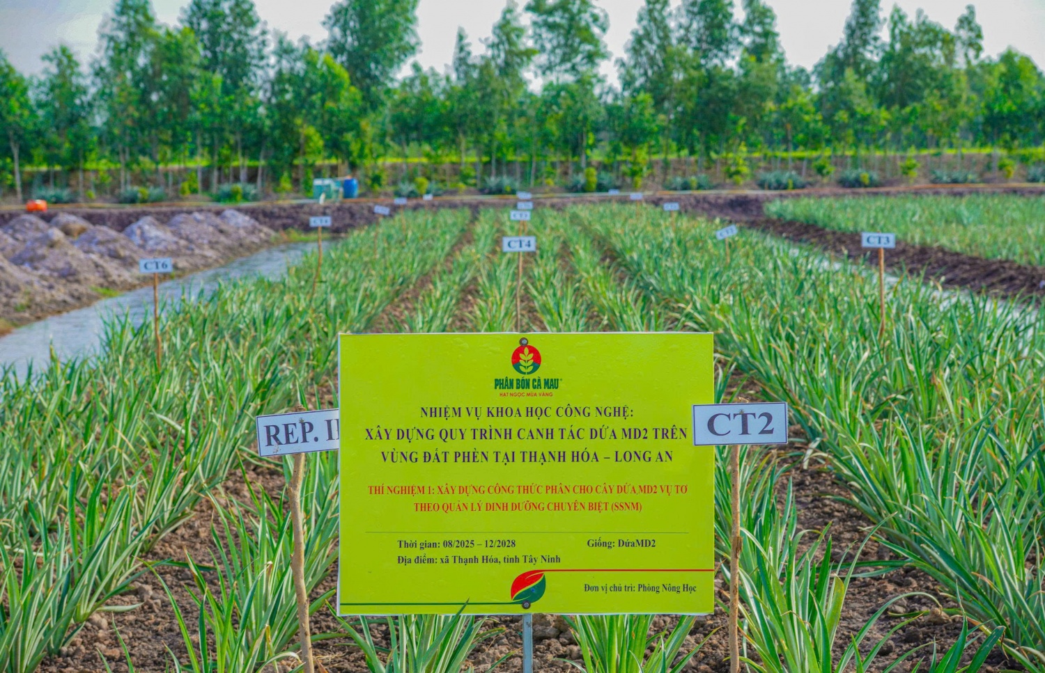 R&D - Chiến lược phát triển lõi, bệ phóng tăng trưởng dài hạn của PVCFC