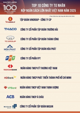 Vingroup, Thaco, TC Group, Hòa Phát, FPT dẫn đầu doanh nghiệp tư nhân nộp ngân sách 2024