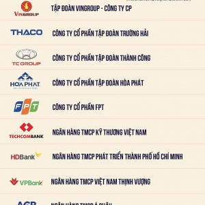 Vingroup, Thaco, TC Group, Hòa Phát, FPT dẫn đầu doanh nghiệp tư nhân nộp ngân sách 2024