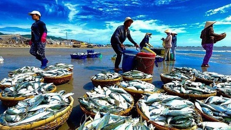 Thúc đẩy tiêu thụ thủy sản nội địa để cân bằng phát triển