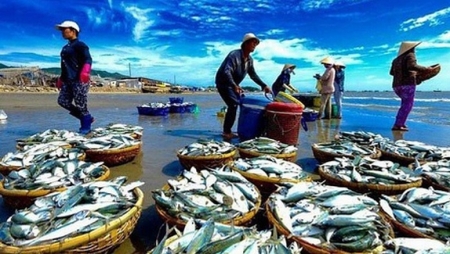 Thúc đẩy tiêu thụ thủy sản nội địa để cân bằng phát triển