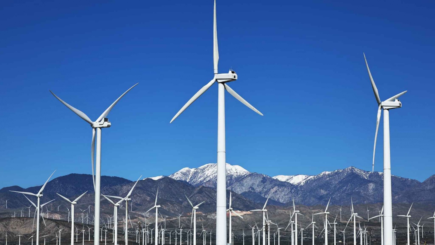 Mỹ xem xét áp thuế lên tua-bin điện gió nhập khẩu