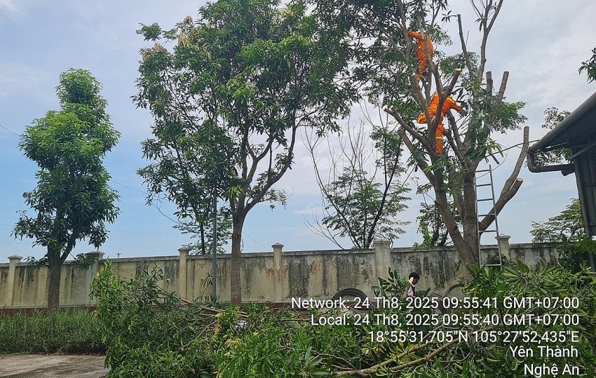 EVNNPT chủ động ứng phó bão số 5, đảm bảo vận hành an toàn lưới điện truyền tải