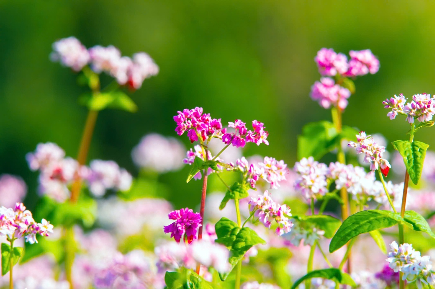 Tử vi tuần mới (25-31/8/2025): Tuổi Tý phát triển tiềm năng, tuổi Mùi tin vui bất ngờ Tử vi tuần mới (25-31/8/2025): Tuổi Tý phát triển tiềm năng, tuổi Mùi tin vui bất ngờ