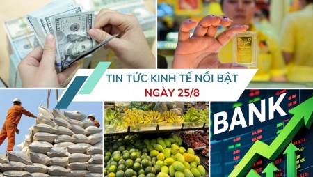 Tin tức kinh tế ngày 25/8: Cổ phiếu ngân hàng đồng loạt lao dốc