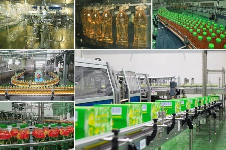 Đâu là giá trị đột phá của Trà Xanh Không Độ?