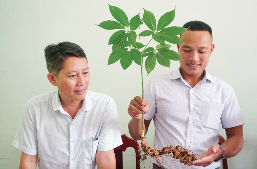 Chuyện về những người soi sâm