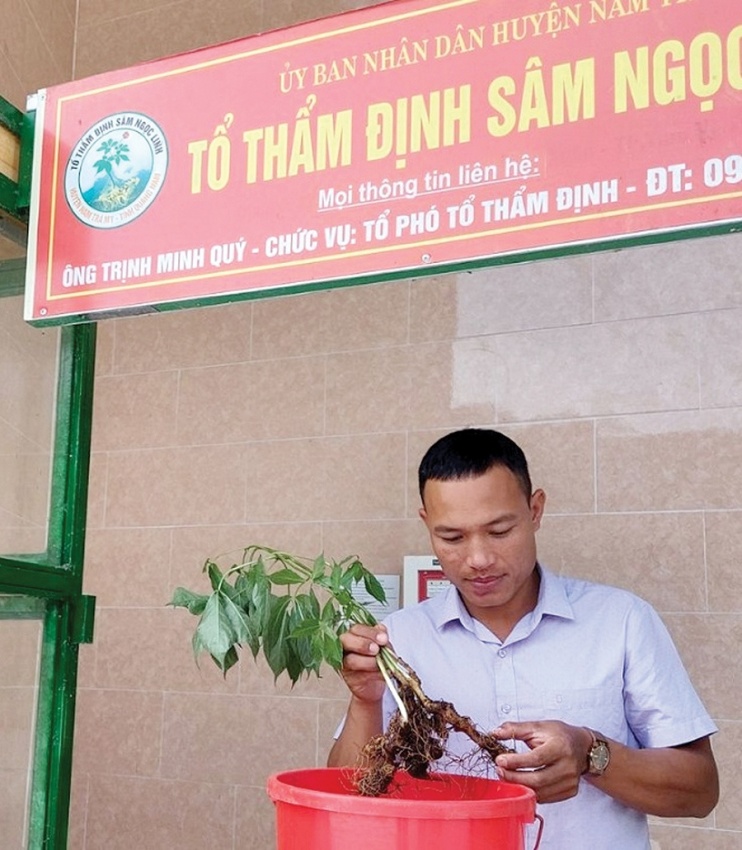 Chuyện về những người soi sâm