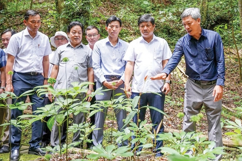 Chuyện về những người soi sâm