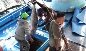 Khánh Hòa phát động đợt thi đua cao điểm chống IUU