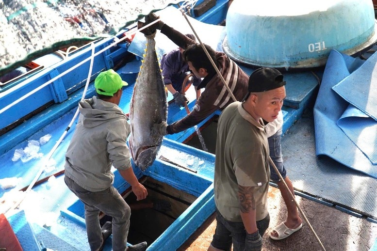 Khánh Hòa phát động đợt thi đua cao điểm chống IUU
