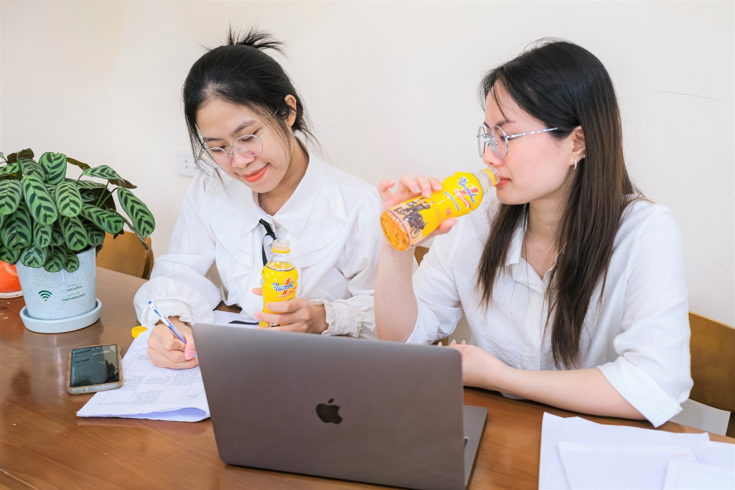Number 1, thương hiệu tăng lực Việt được hàng triệu người tin dùng