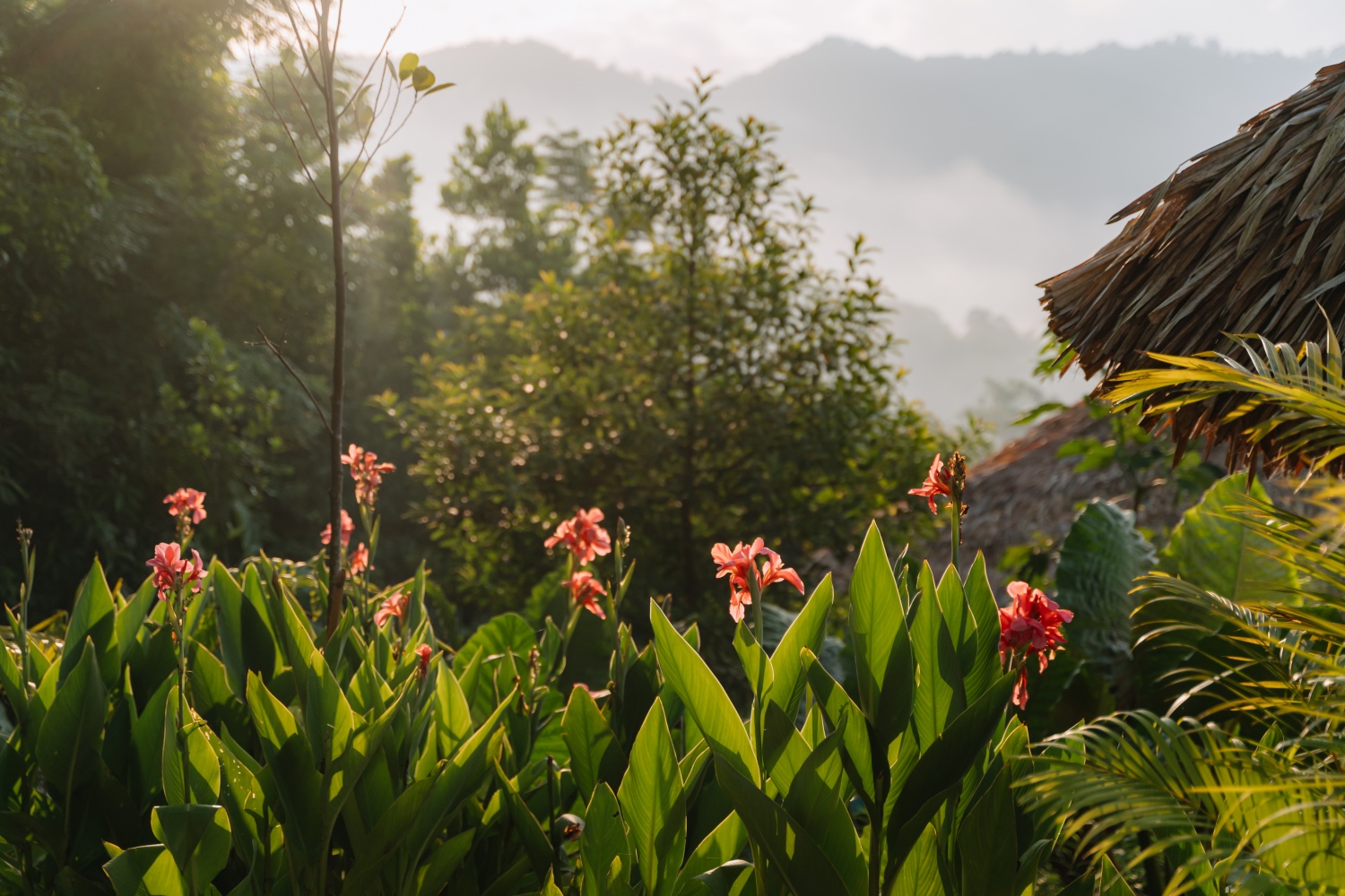 Trở về miền an yên: Một ngày ở An Châng nơi núi rừng Hà Giang Trở về miền an yên: Một ngày ở An Châng nơi núi rừng Hà Giang