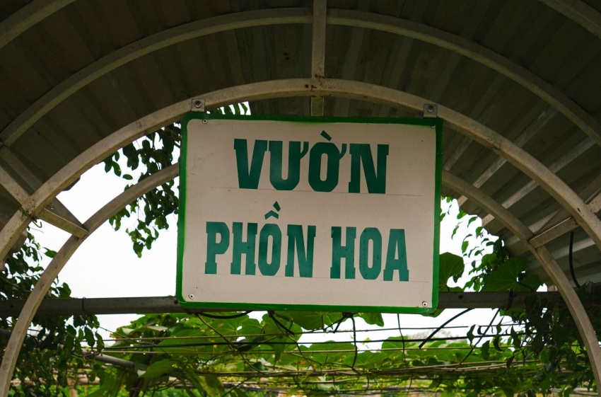 Nông dân kết hợp canh tác với du lịch: Tạo đòn bẩy nâng giá trị nông nghiệp