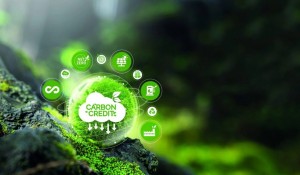 Doanh nghiệp Việt trước sức ép từ “chi phí carbon”