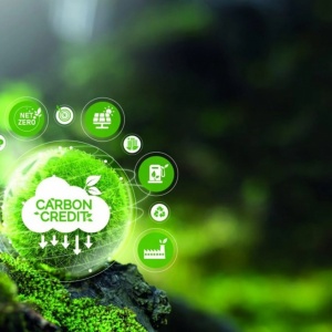 Đề xuất chuẩn hóa tín chỉ hàng hóa trên sàn giao dịch carbon, tránh rủi ro gian lận