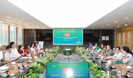 Đảng bộ PVEP tổ chức sinh hoạt chi bộ đồng loạt, tạo khí thế thi đua sôi nổi