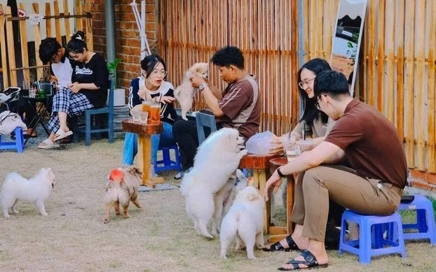 Nuôi thú cưng để giảm stress - Tại sao không?