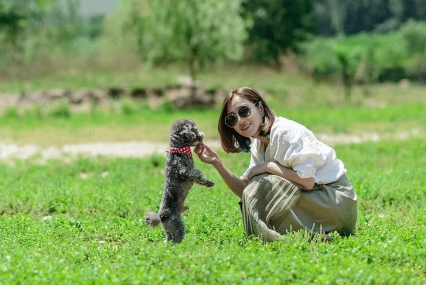 Nuôi thú cưng để giảm stress - Tại sao không?