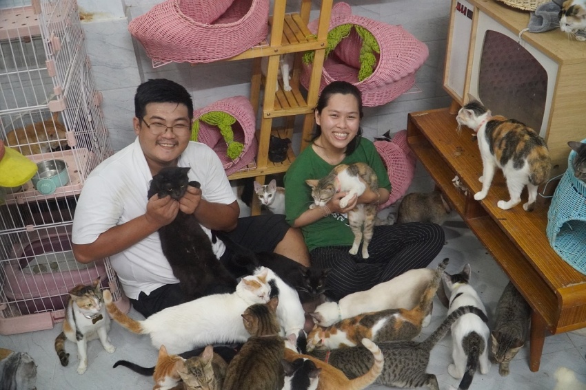 Nuôi thú cưng để giảm stress - Tại sao không?