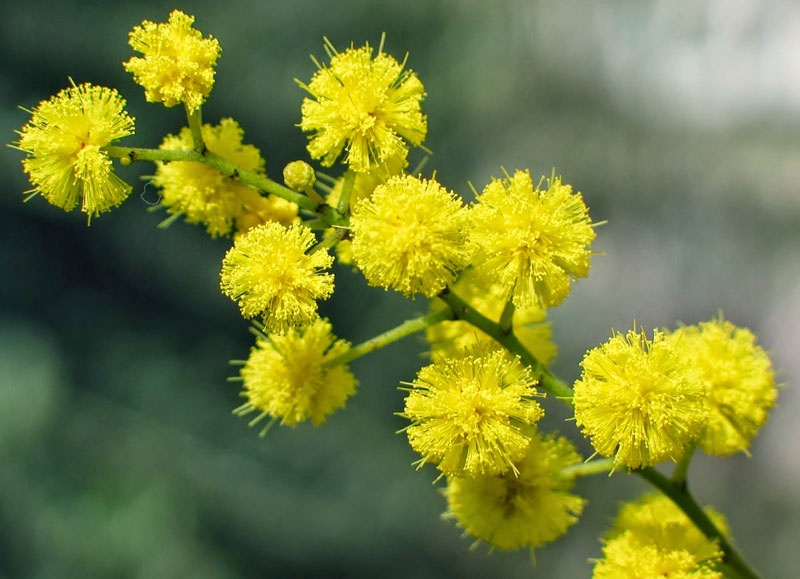 Tử vi tuần mới (8-14/9/2025): Tuổi Tuất tài vận dồi dào, tuổi Sửu tình duyên viên mãn Tử vi tuần mới (8-14/9/2025): Tuổi Tuất tài vận dồi dào, tuổi Sửu tình duyên viên mãn