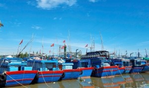 Quảng Ngãi cam kết khắc phục dứt điểm các tồn tại trong khai thác IUU