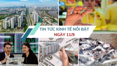 Tin tức kinh tế ngày 11/9: Dòng tiền lãi suất thấp chảy mạnh vào bất động sản