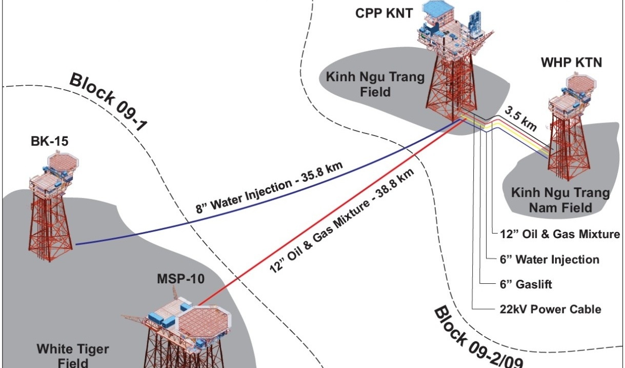 Dấu ấn Viện NIPI trong thành công của dự án Kình Ngư Trắng - Kình Ngư Trắng Nam