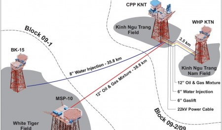 Dấu ấn Viện NIPI trong thành công của dự án Kình Ngư Trắng - Kình Ngư Trắng Nam